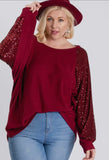7th Ray Long Sleeve Sequin Top